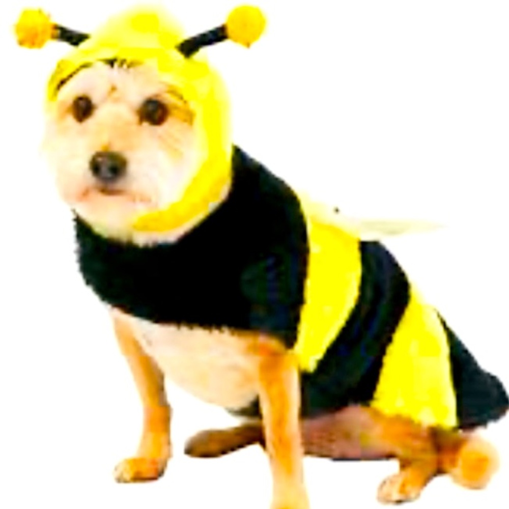 Bumblebee 🐝 Dog costume NWT size Medium